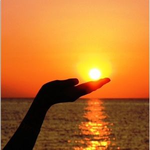 Meet your Posher, Darlene